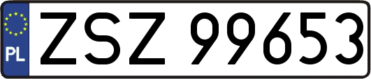 ZSZ99653