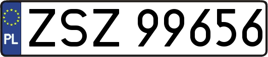 ZSZ99656