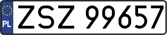 ZSZ99657