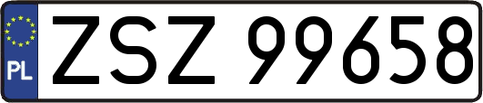 ZSZ99658