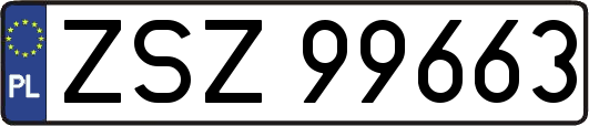 ZSZ99663