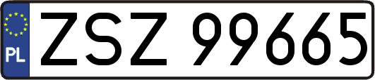ZSZ99665