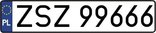 ZSZ99666