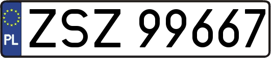 ZSZ99667