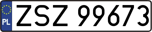 ZSZ99673