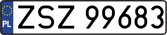 ZSZ99683
