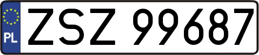 ZSZ99687