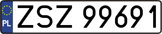 ZSZ99691