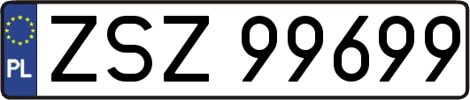 ZSZ99699