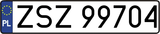 ZSZ99704