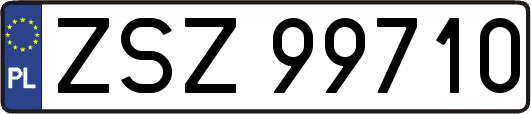 ZSZ99710