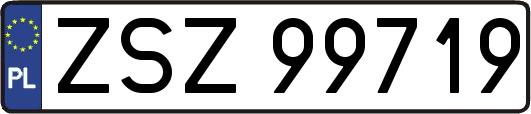 ZSZ99719