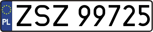 ZSZ99725