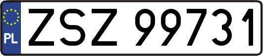 ZSZ99731