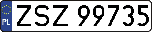 ZSZ99735