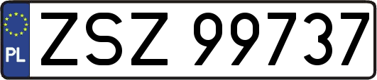 ZSZ99737
