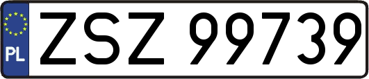 ZSZ99739