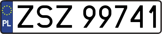 ZSZ99741