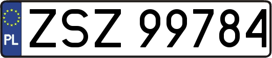 ZSZ99784