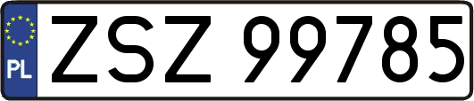 ZSZ99785