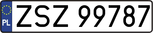 ZSZ99787