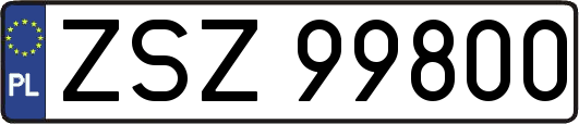 ZSZ99800