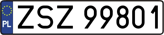 ZSZ99801