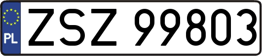 ZSZ99803