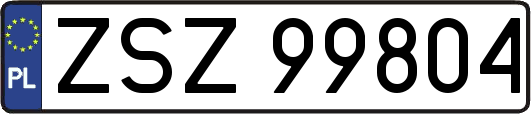 ZSZ99804