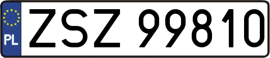 ZSZ99810