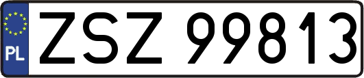 ZSZ99813