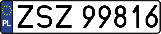 ZSZ99816