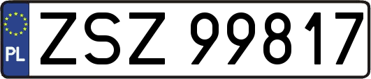 ZSZ99817