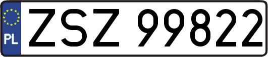 ZSZ99822