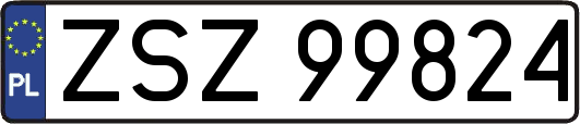 ZSZ99824