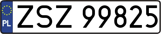 ZSZ99825