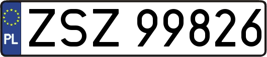 ZSZ99826