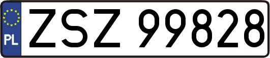 ZSZ99828