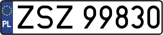 ZSZ99830