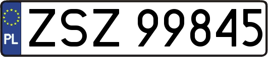 ZSZ99845