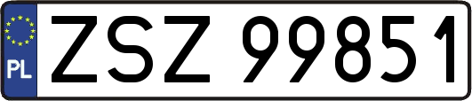ZSZ99851