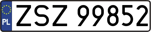 ZSZ99852