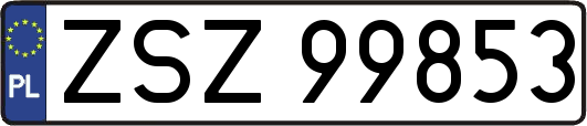 ZSZ99853