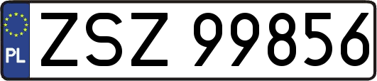 ZSZ99856