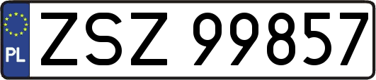 ZSZ99857