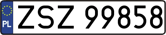 ZSZ99858