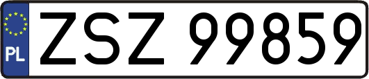 ZSZ99859