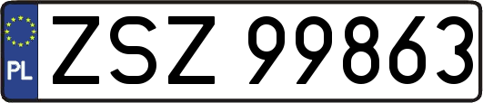 ZSZ99863