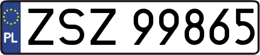 ZSZ99865