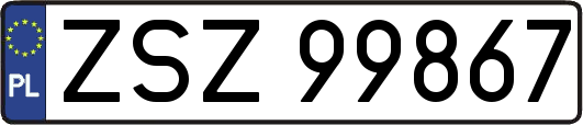 ZSZ99867